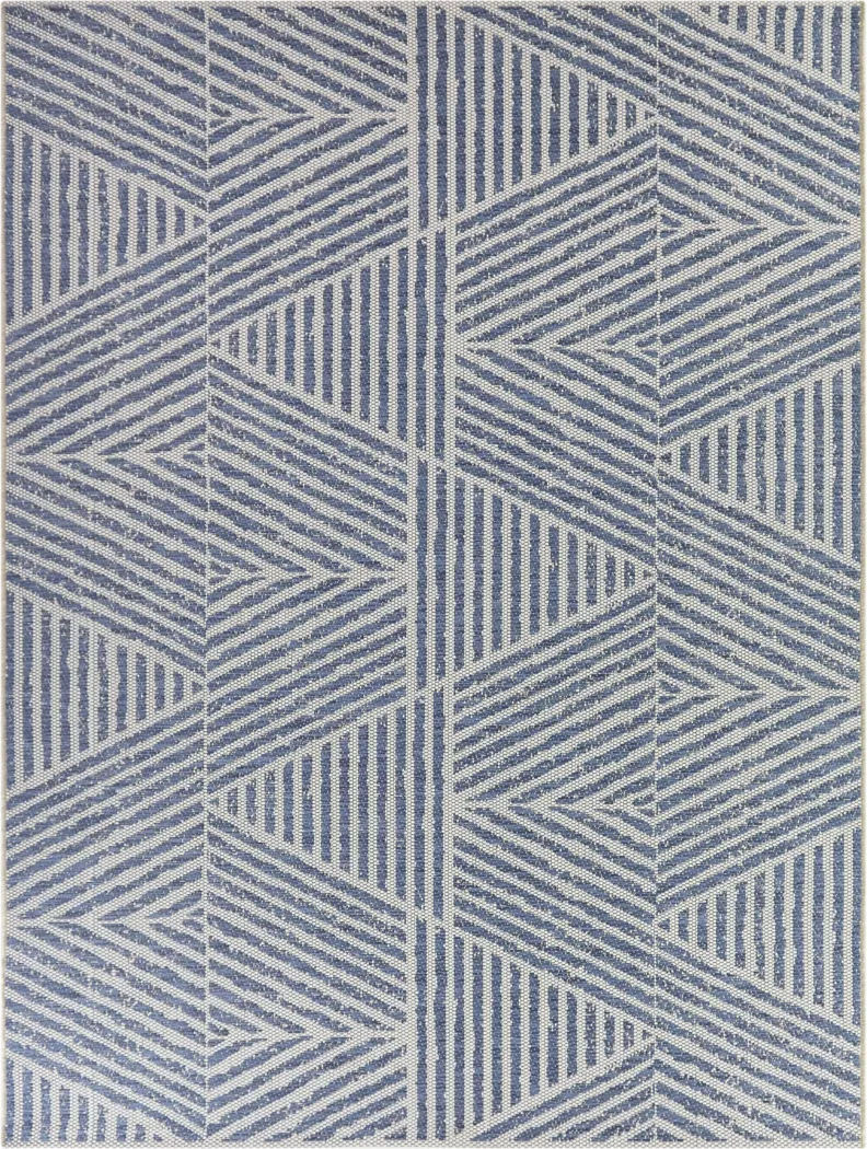 Cosgrove Chambray 7'10 x 10' Indoor/Outdoor Rug - Thumbnail - Image 1
