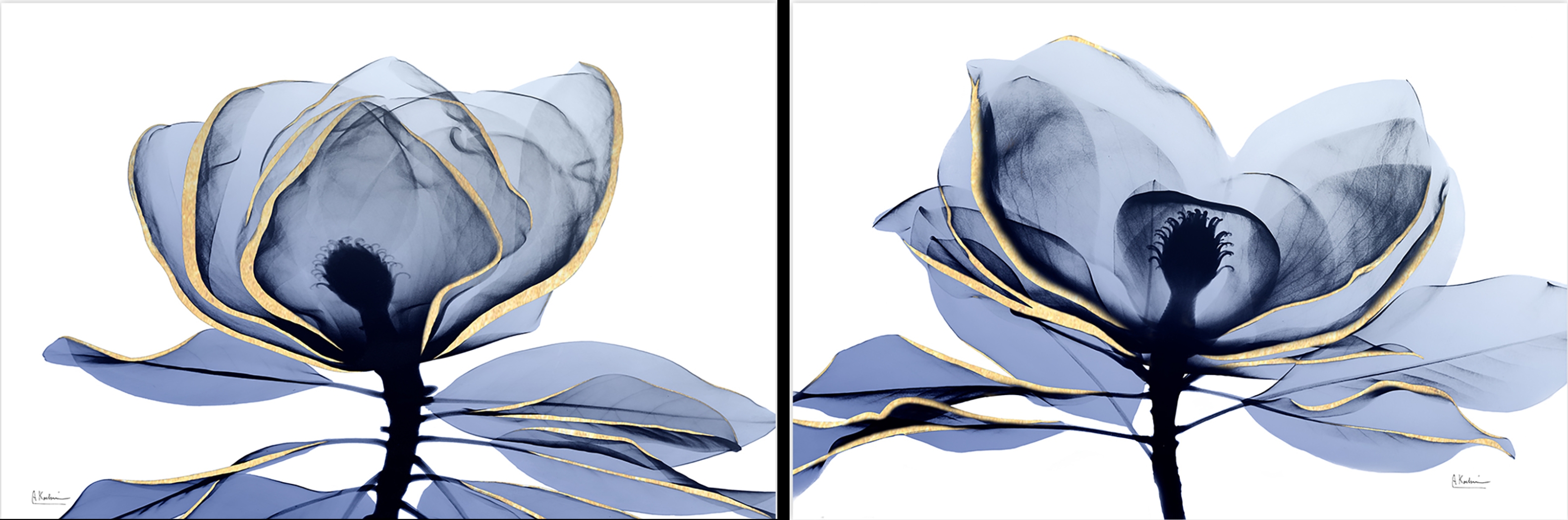 Costales Blue Artwork, Set of 2 - Thumbnail - Image 1