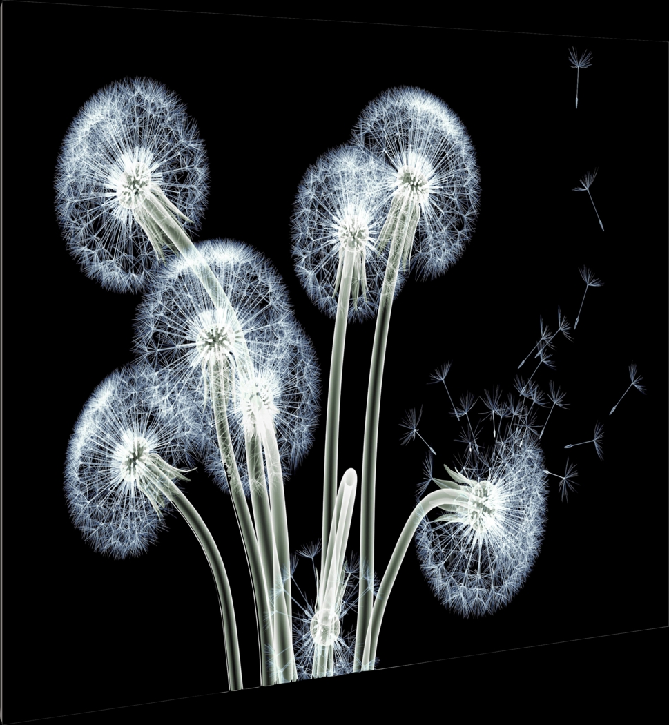 Couvillion Multi Artwork - Thumbnail - Image 6