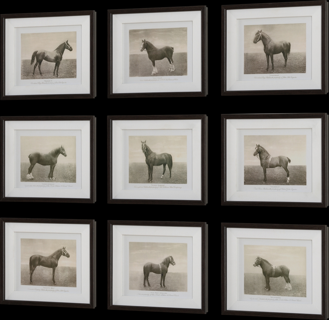 Creot Brown Artwork, Set of 9 - Thumbnail - Image 4