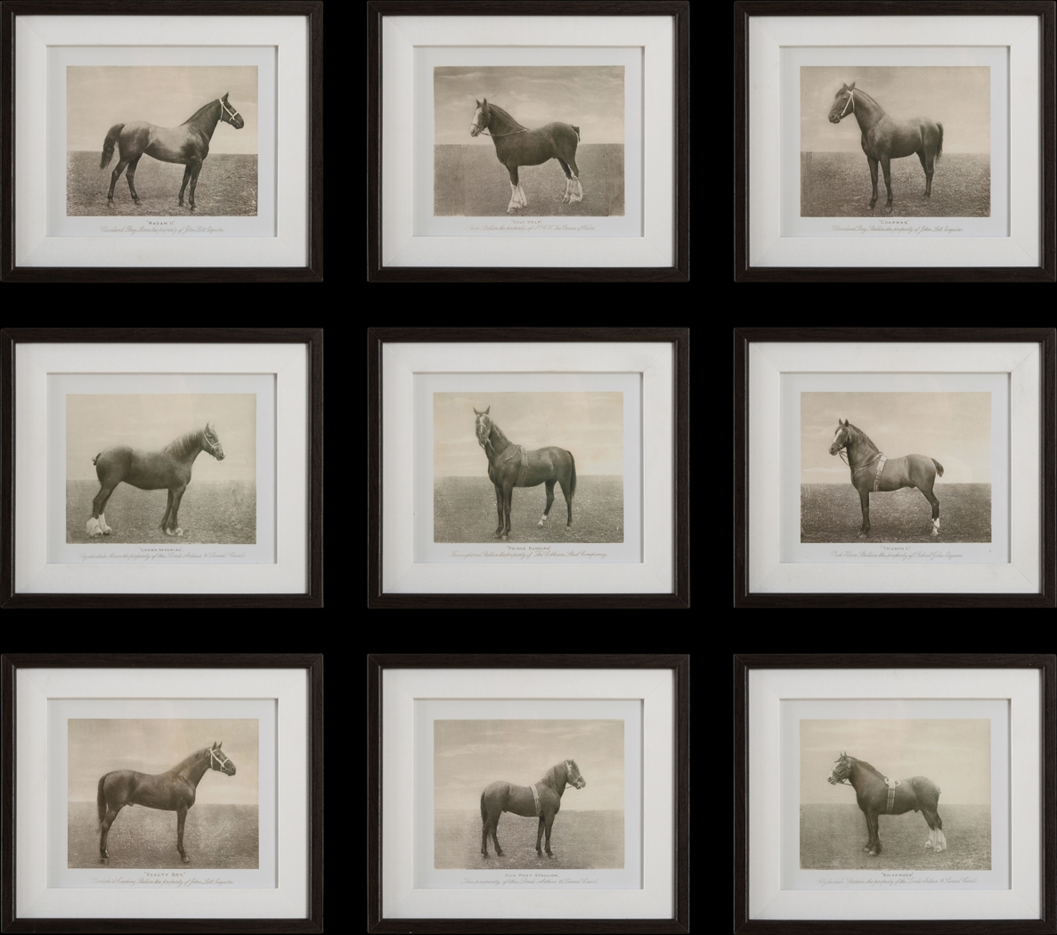 Creot Brown Artwork, Set of 9 - Thumbnail - Image 1