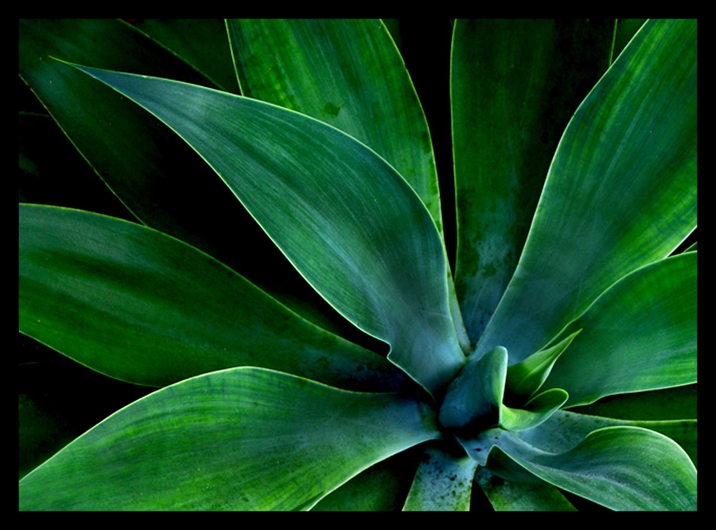 Crestmere Artwork - Thumbnail - Image 1