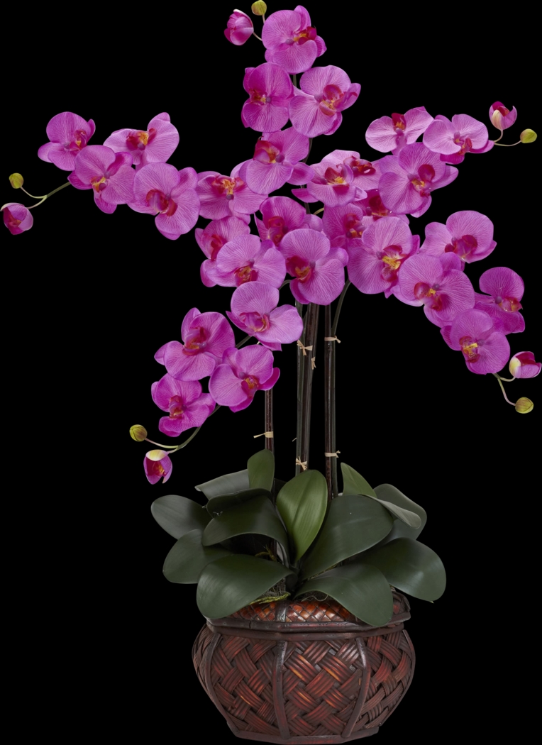 Criselda Purple Orchid Silk Floral - Thumbnail - Image 1