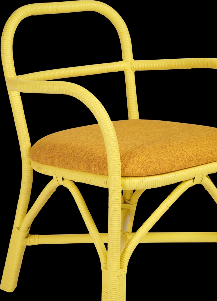 Crosskeys Yellow Arm Chair - Thumbnail - Image 5