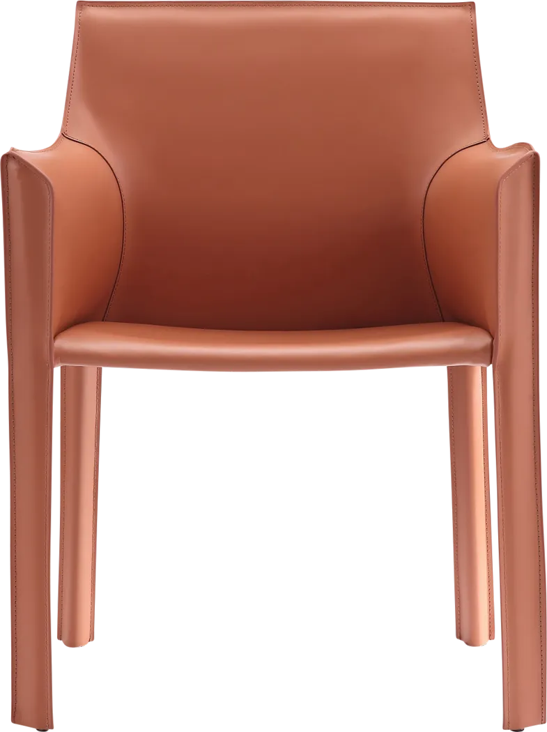 Crowwalk Brown Arm Chair - Thumbnail - Image 5