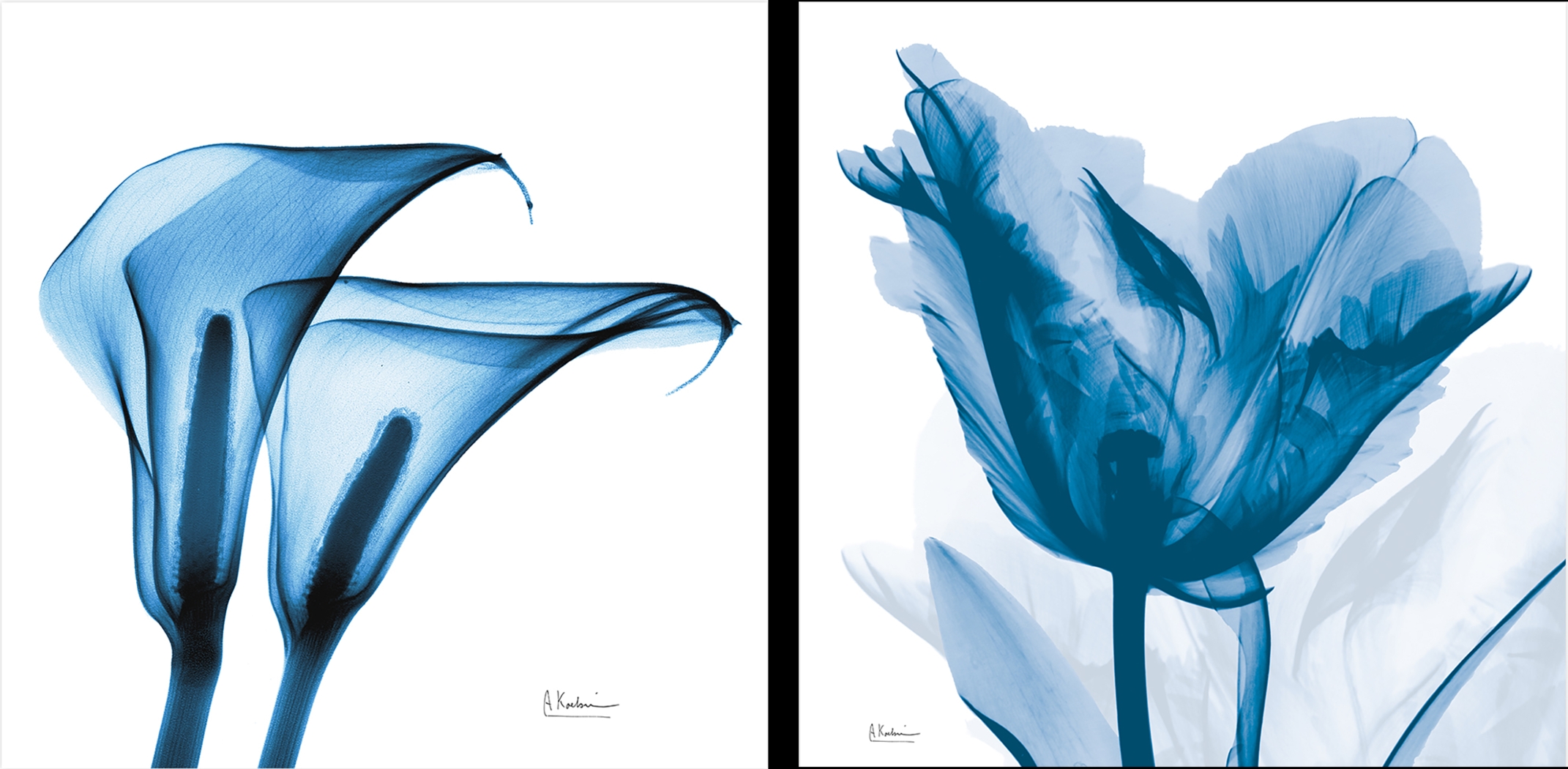 Curnutt Blue Artwork, Set of 2 - Thumbnail - Image 1