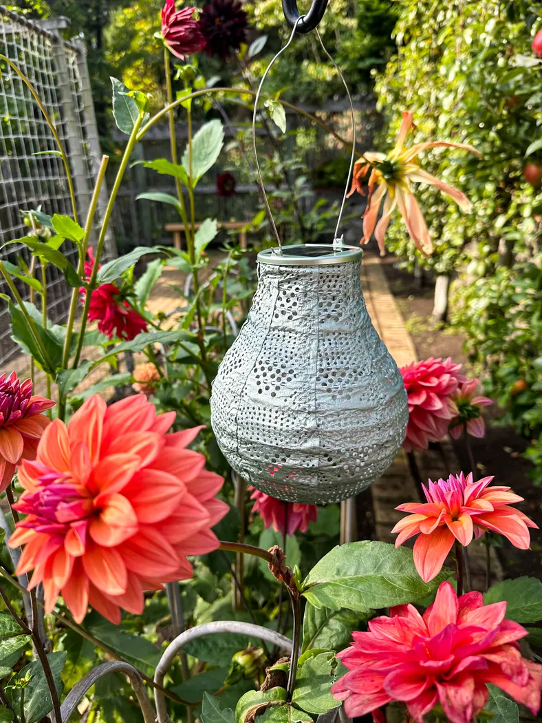 Cyra Creek Outdoor Sage Solar Lantern - Thumbnail - Image 11