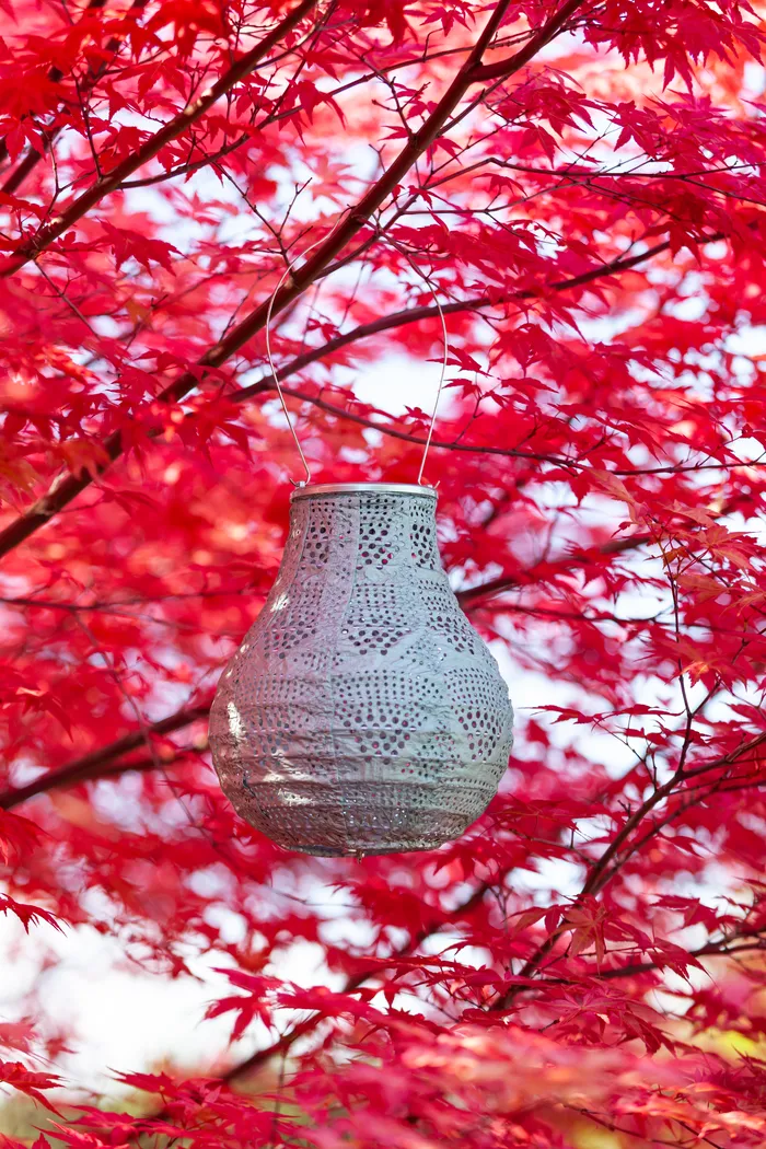 Cyra Creek Outdoor Sage Solar Lantern - Thumbnail - Image 8