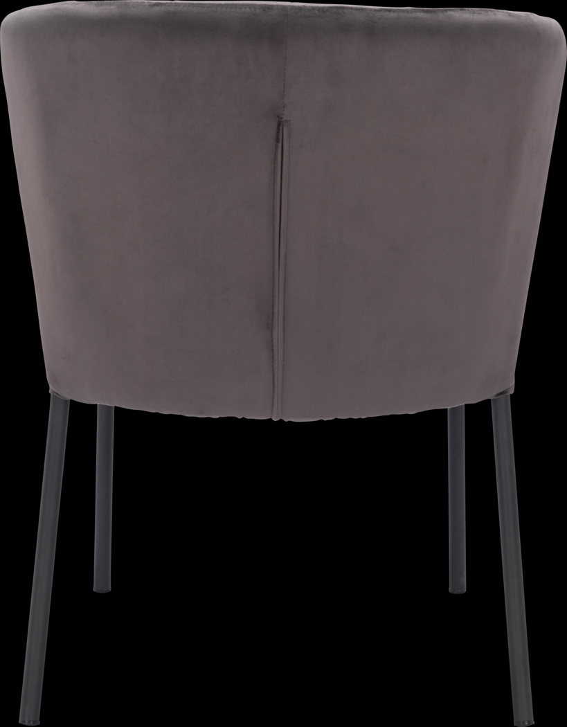 Daffodil Gray Side Chair, Set of 2 - Thumbnail - Image 6