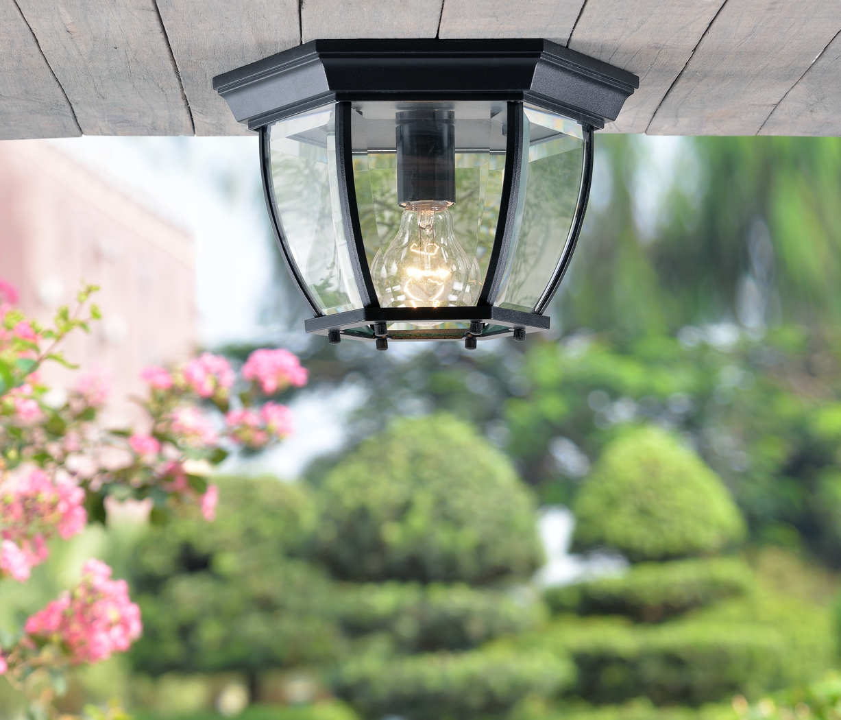 Dalea Black Outdoor Chandelier - Thumbnail - Image 2