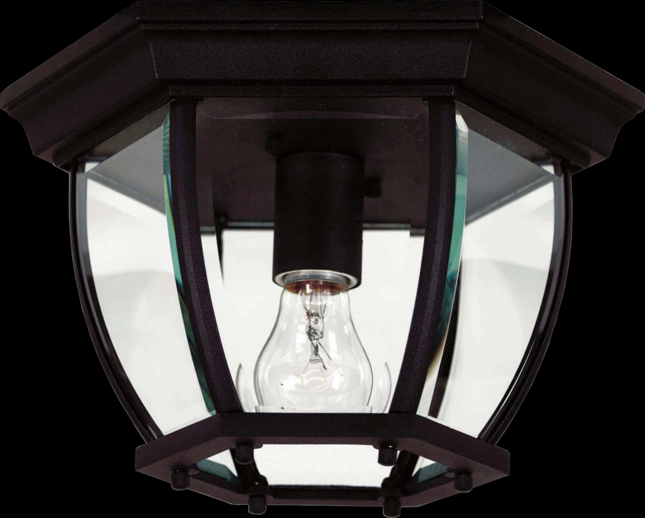 Dalea Black Outdoor Chandelier - Thumbnail - Image 1