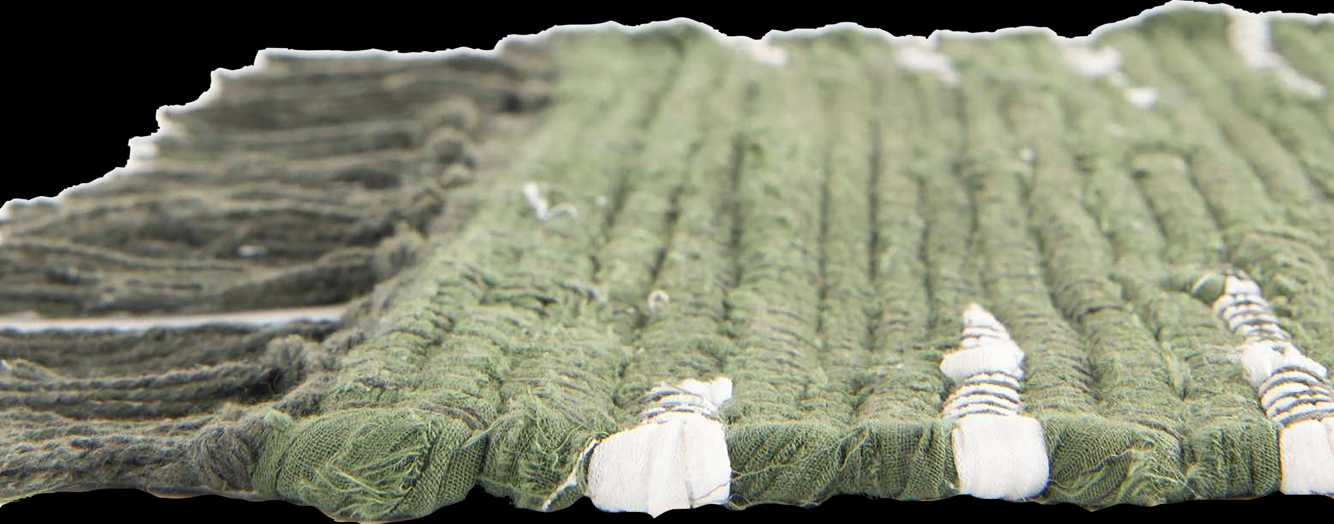 Damone Green 10' x 14'1 Rug - Thumbnail - Image 4