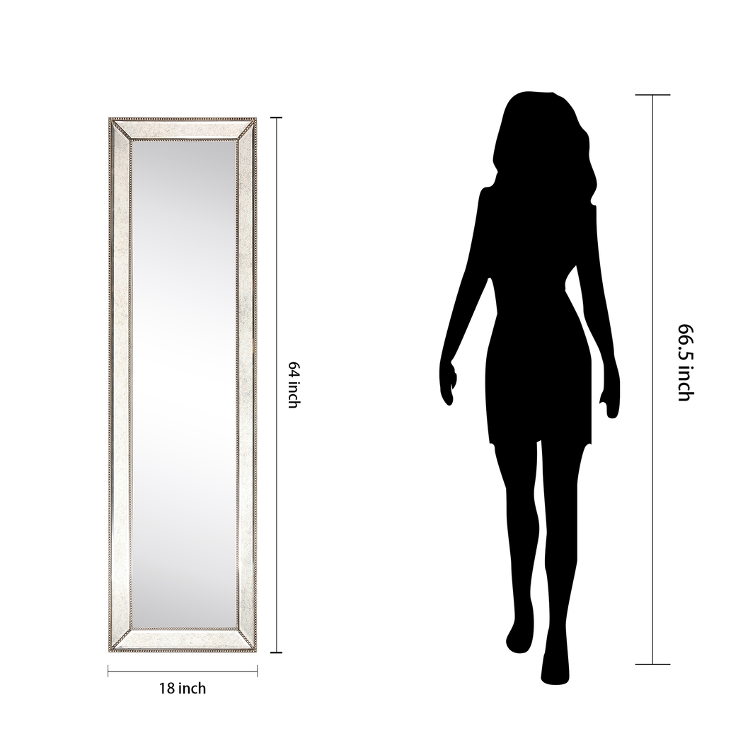 Danika Champagne Mirror - Thumbnail - Image 10