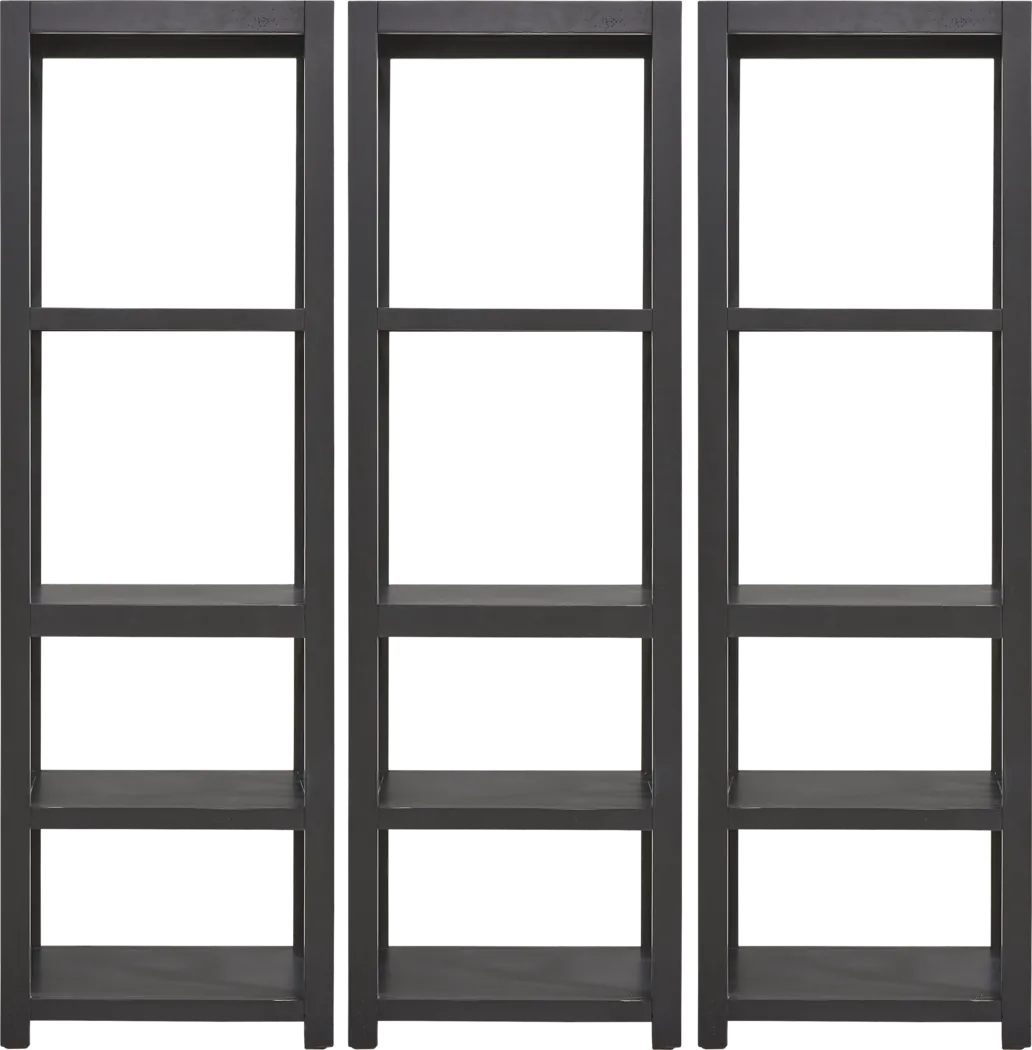 Danusa II Black 3 Pc Bookcase Set - Thumbnail - Image 1