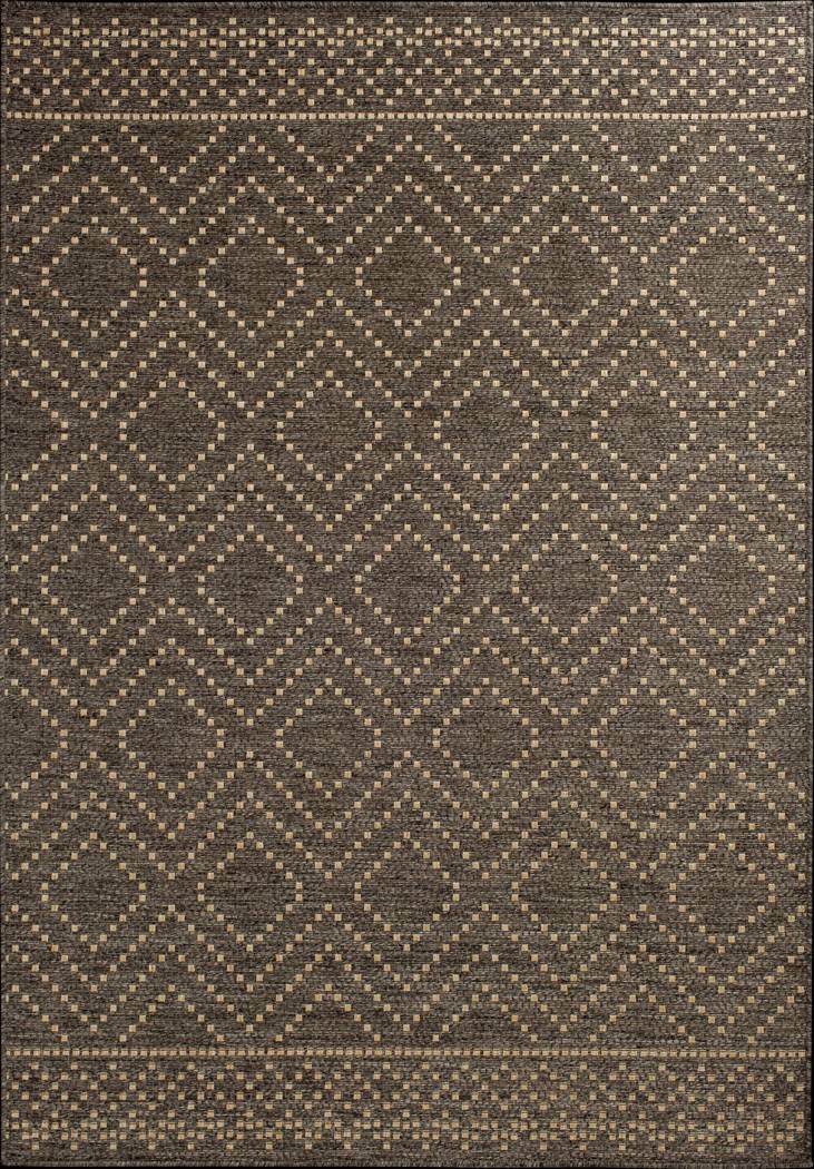 Danyal Brown 5'3 x 7'7 Indoor/Outdoor Rug - Thumbnail - Image 1