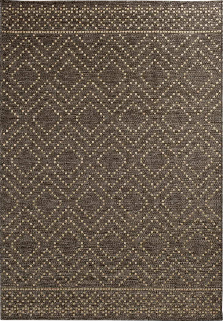 Danyal Brown 7'10 x 9'10 Indoor/Outdoor Rug - Thumbnail - Image 1