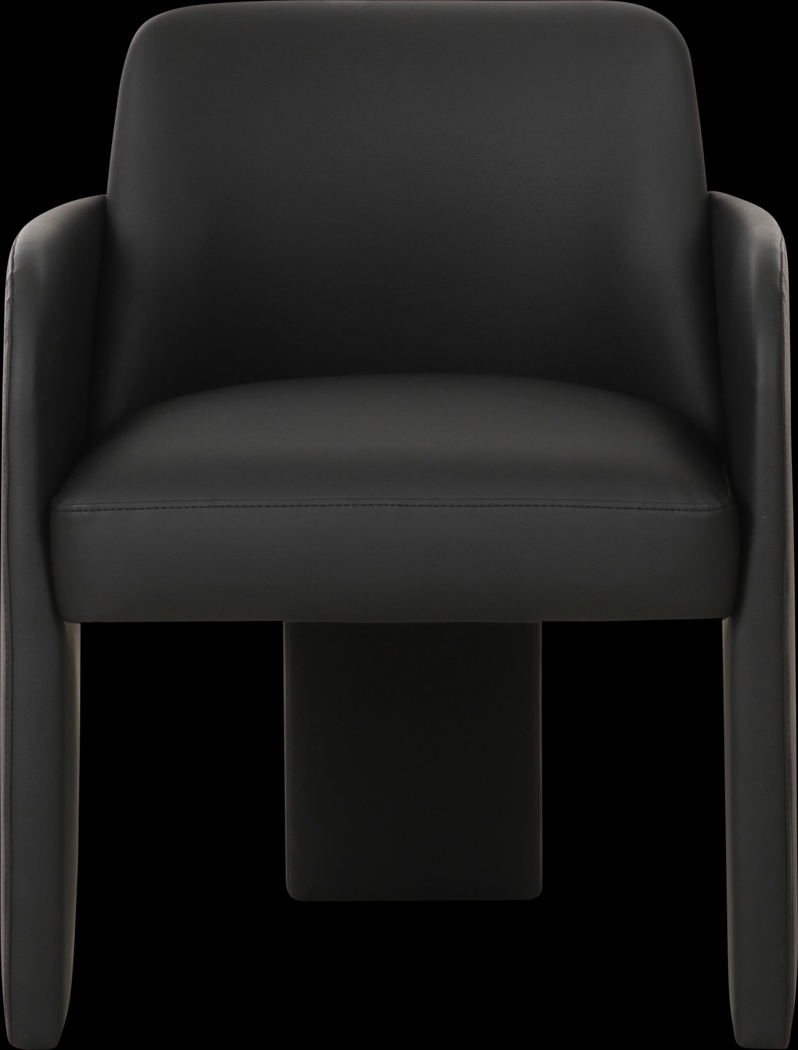 Daphia Black Arm Chair - Thumbnail - Image 3