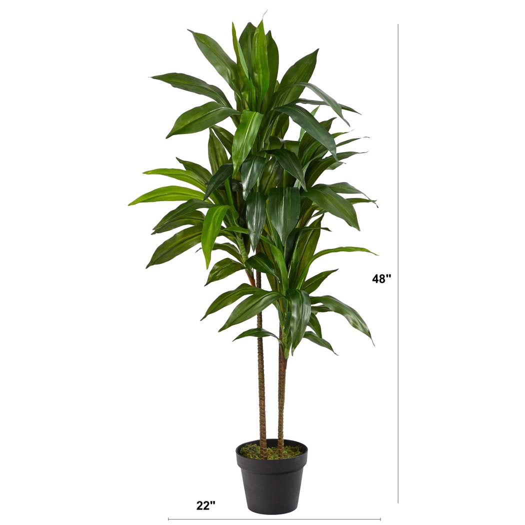 Darian Green Dracaena Silk Tree - Thumbnail - Image 3