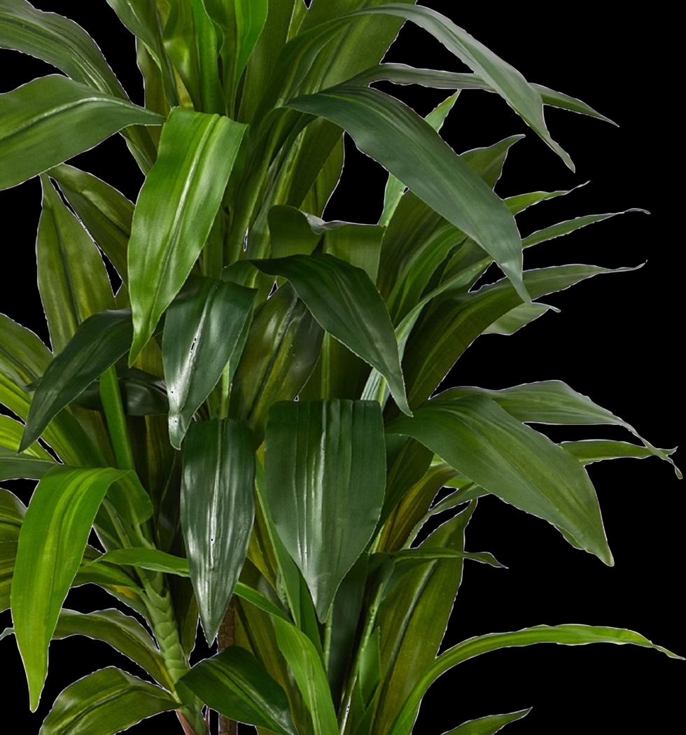 Darian Green Dracaena Silk Tree - Thumbnail - Image 6