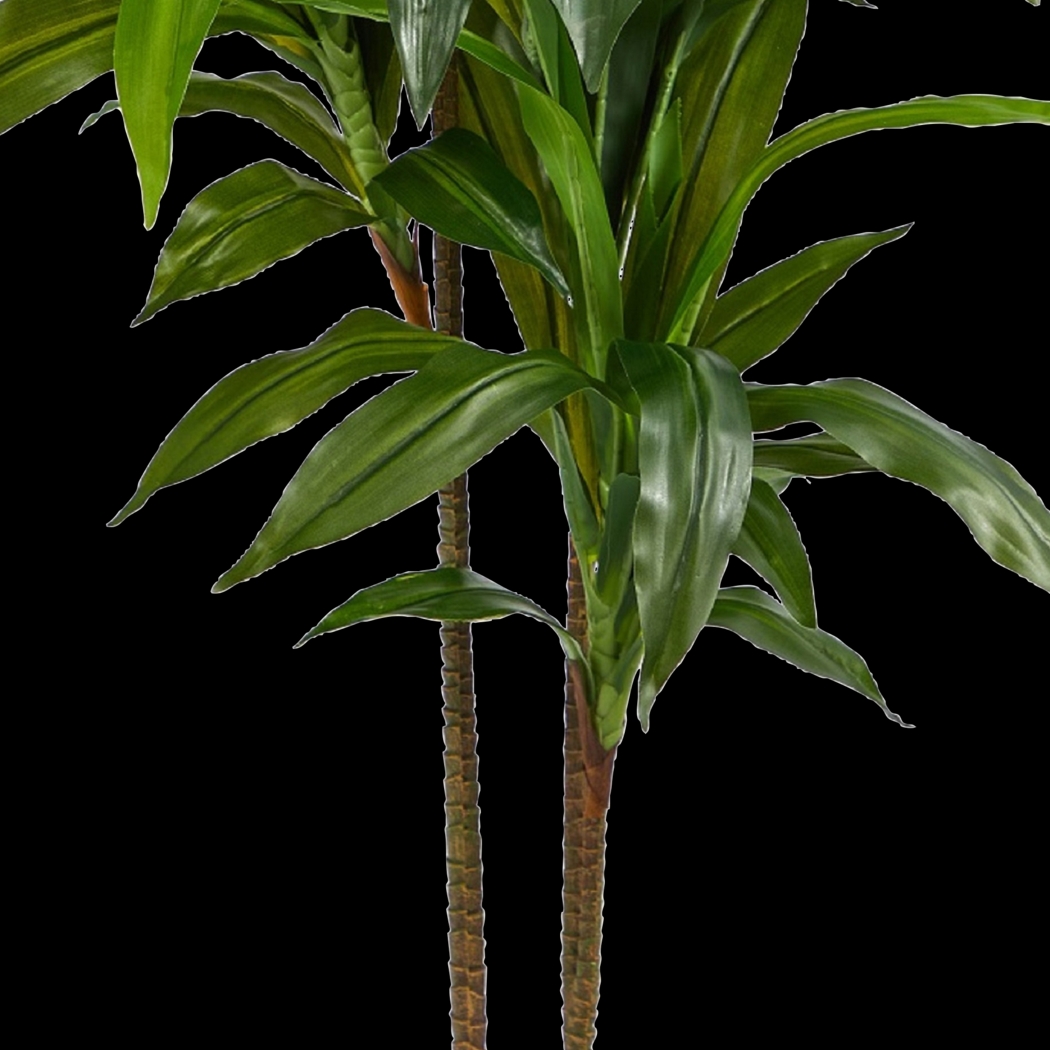 Darian Green Dracaena Silk Tree - Thumbnail - Image 7