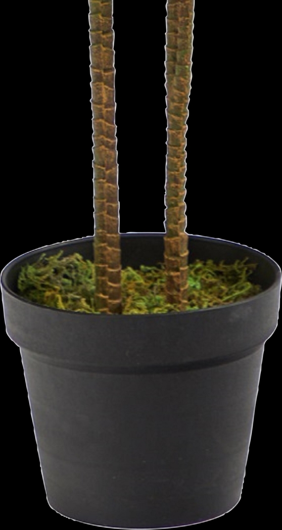 Darian Green Dracaena Silk Tree - Thumbnail - Image 8