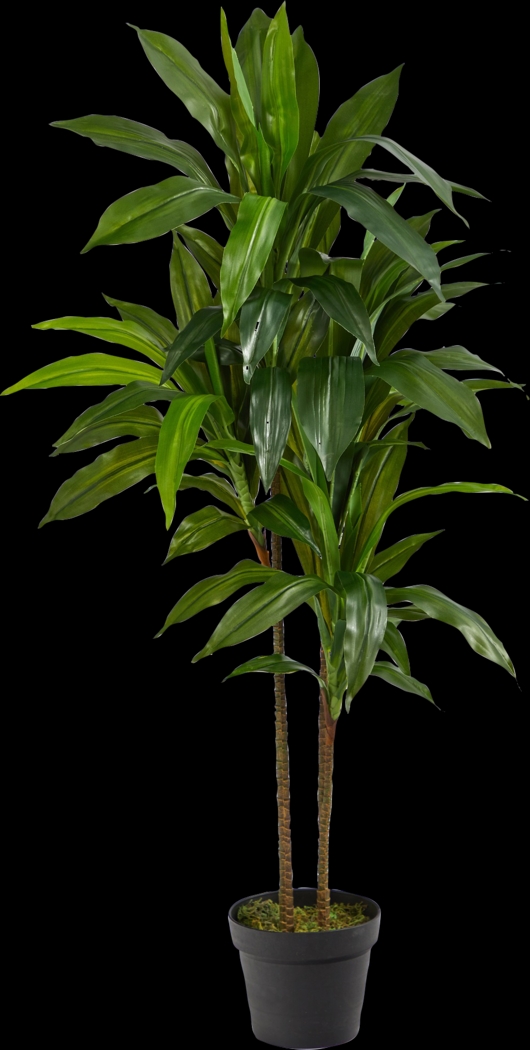 Darian Green Dracaena Silk Tree - Thumbnail - Image 1