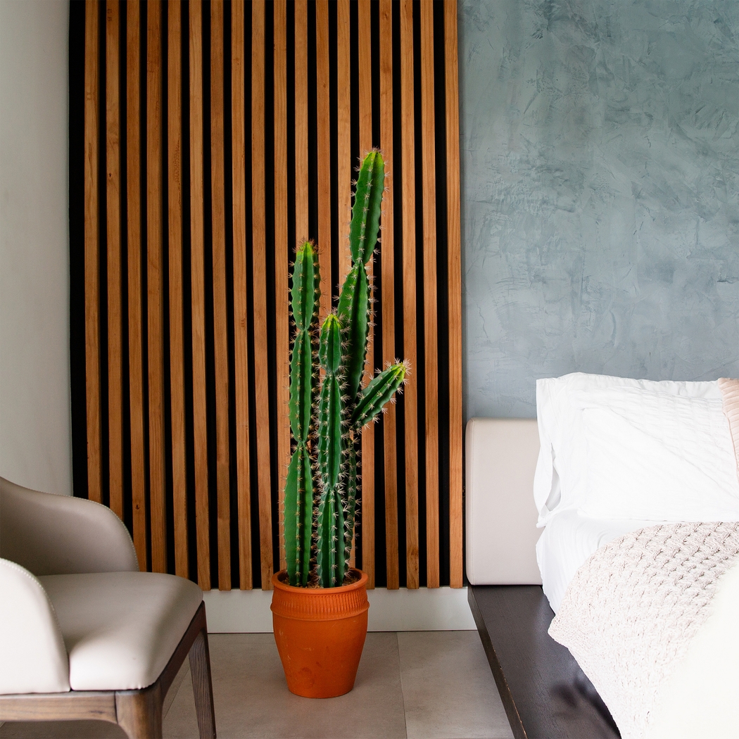 Darland Green Silk Plant - Thumbnail - Image 2