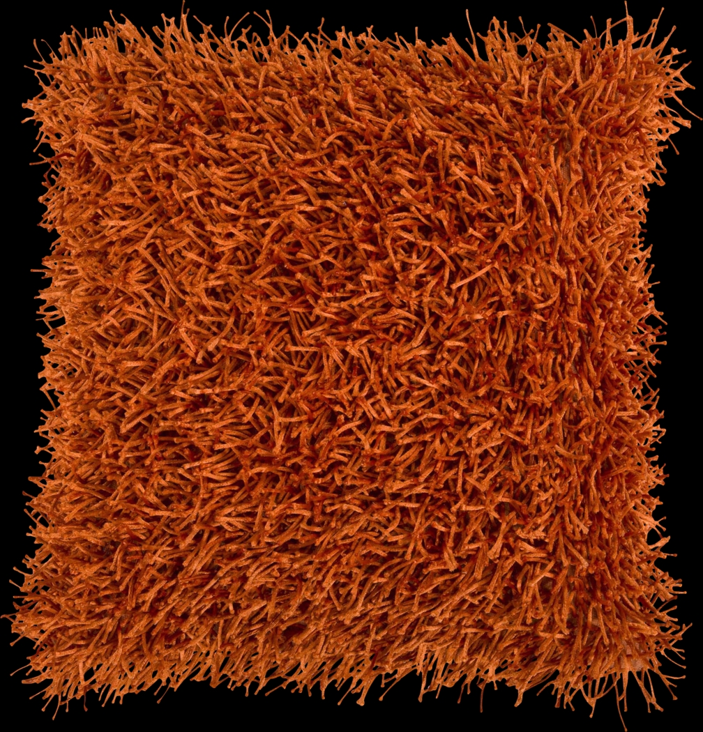 Darling Visions Orange Accent Pillow - Thumbnail - Image 1