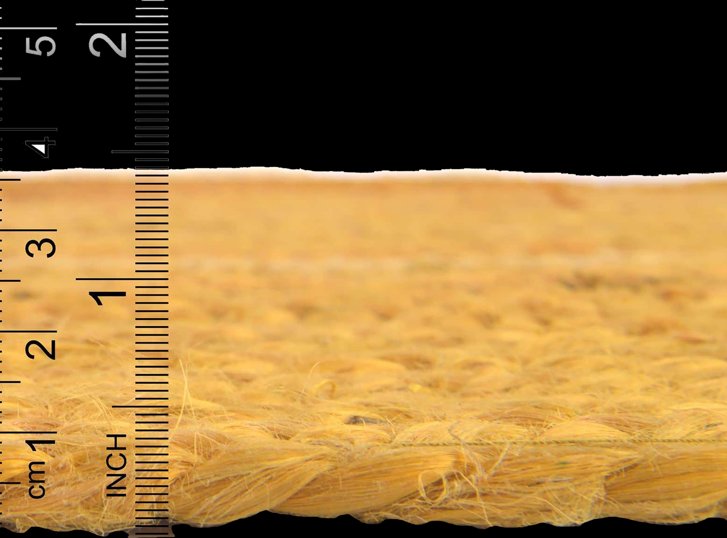 Darrel Yellow 8' x 10' Rug - Thumbnail - Image 3