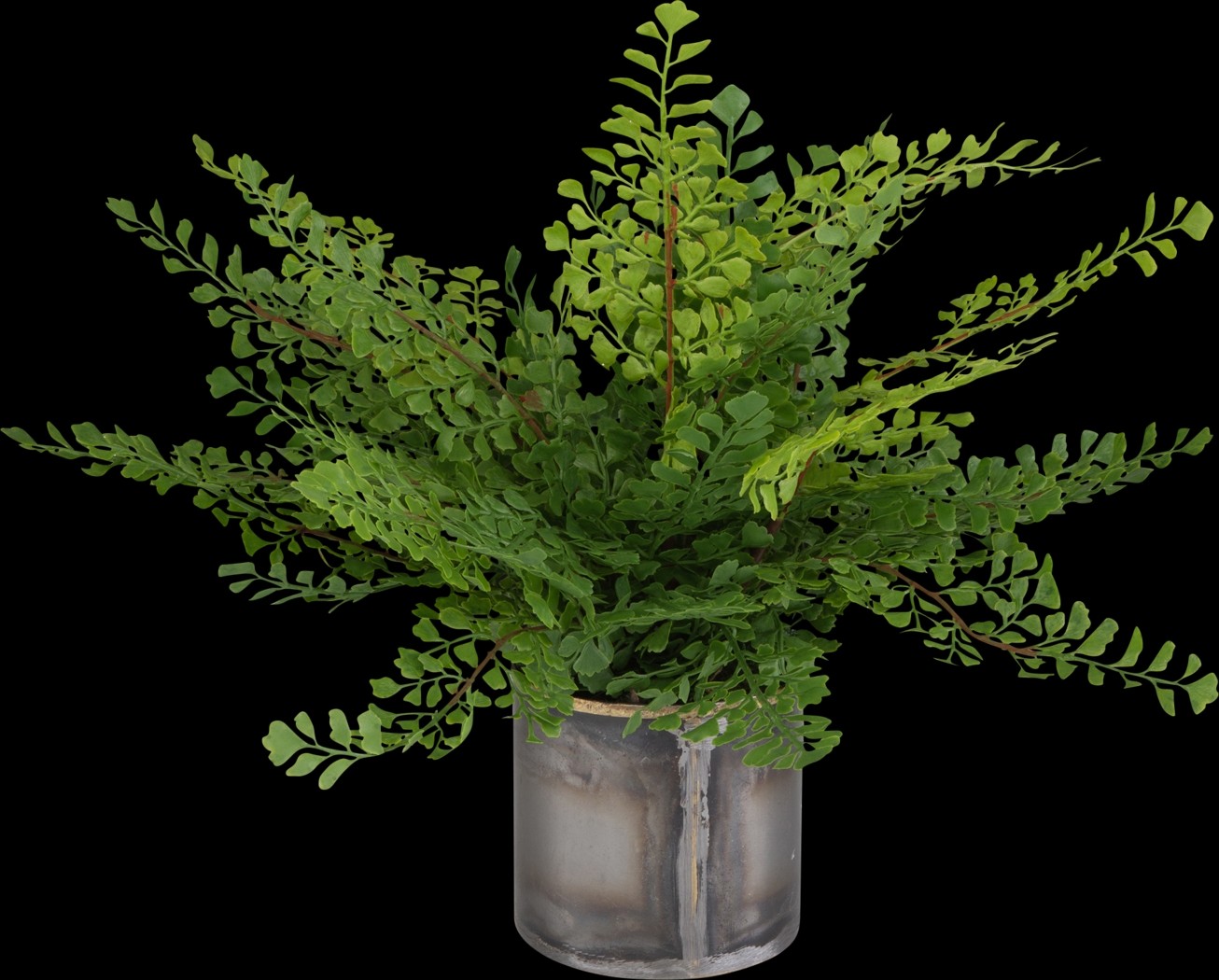 Daski Green Silk Plant - Thumbnail - Image 1