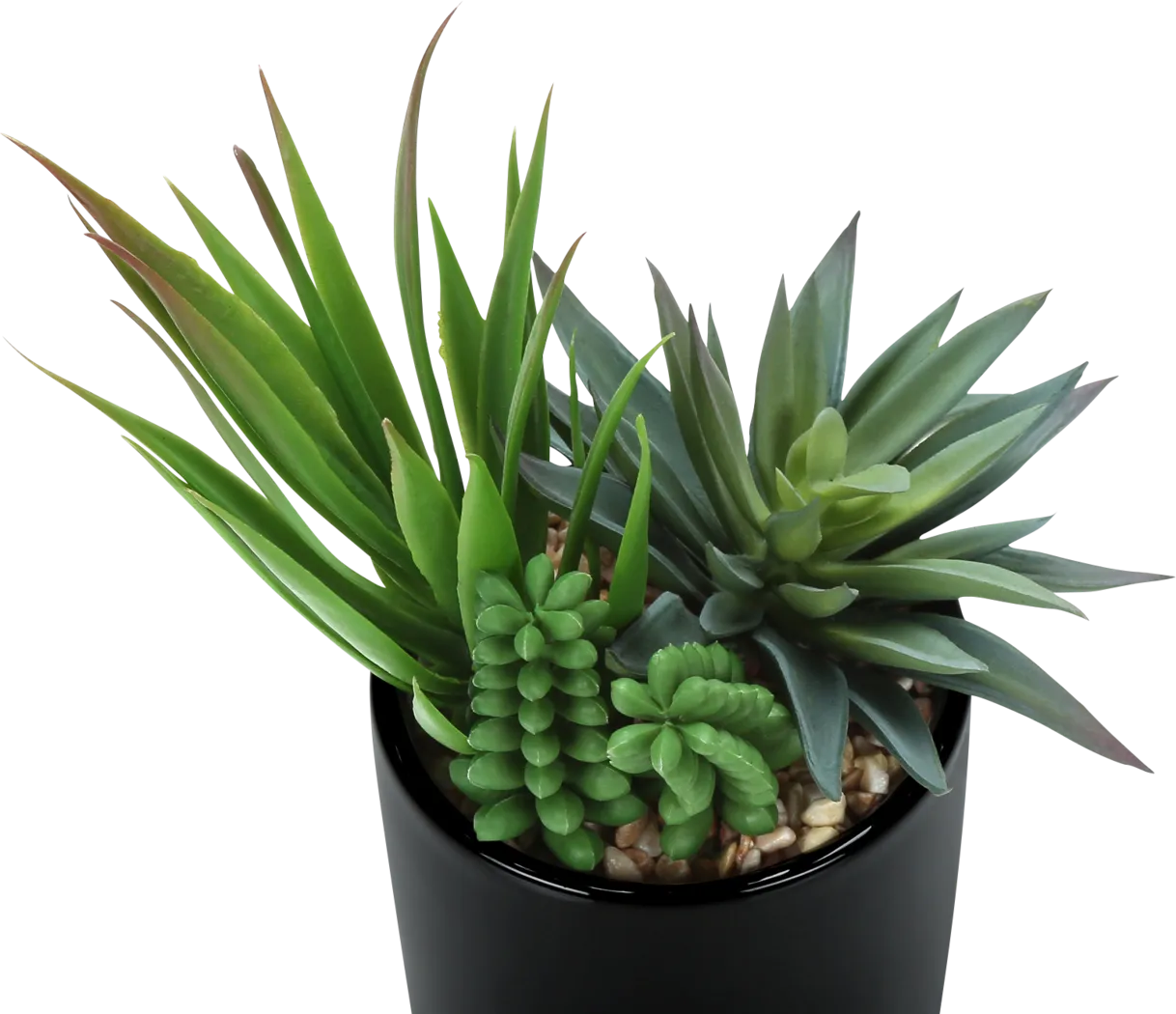 Daxton Black Silk Plant - Image 4