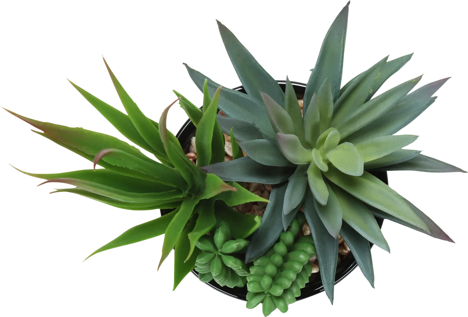 Daxton Black Silk Plant - Image 6