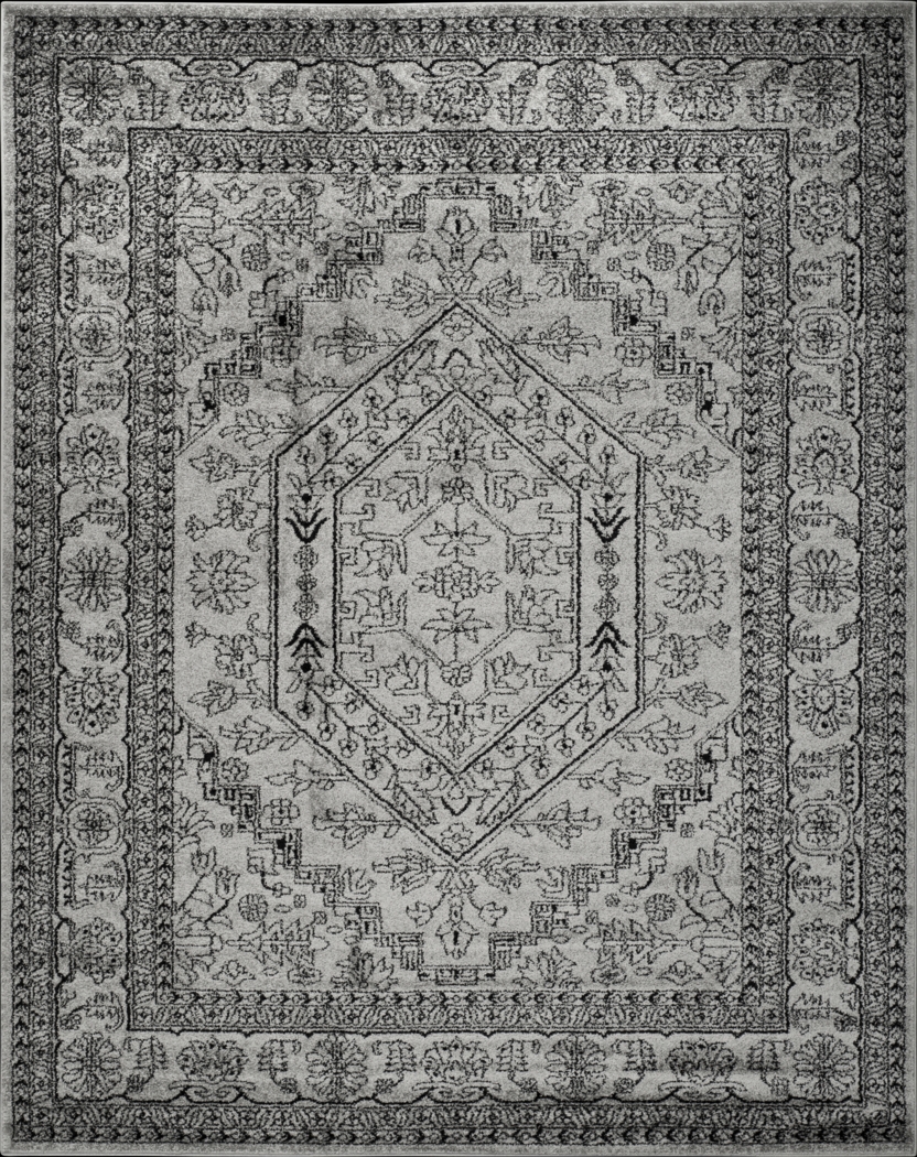Daylee Silver 8' x 10' Rug - Thumbnail - Image 1