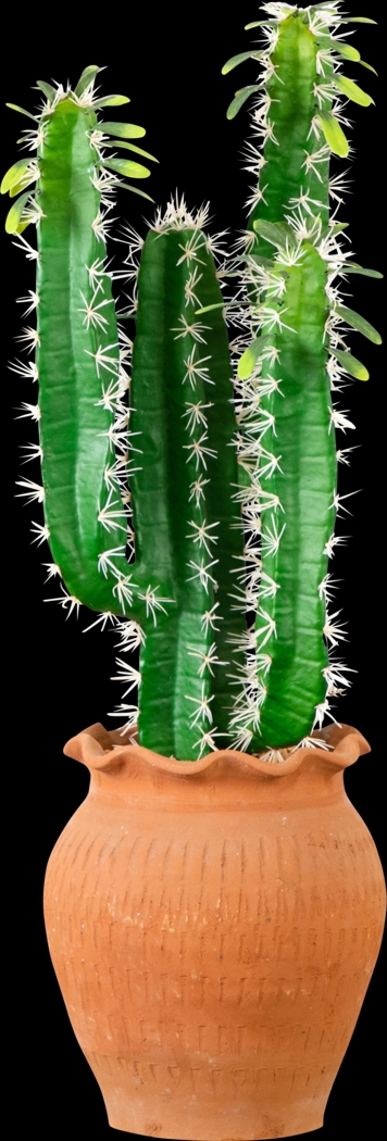 Defford Green Silk Plant - Thumbnail - Image 1