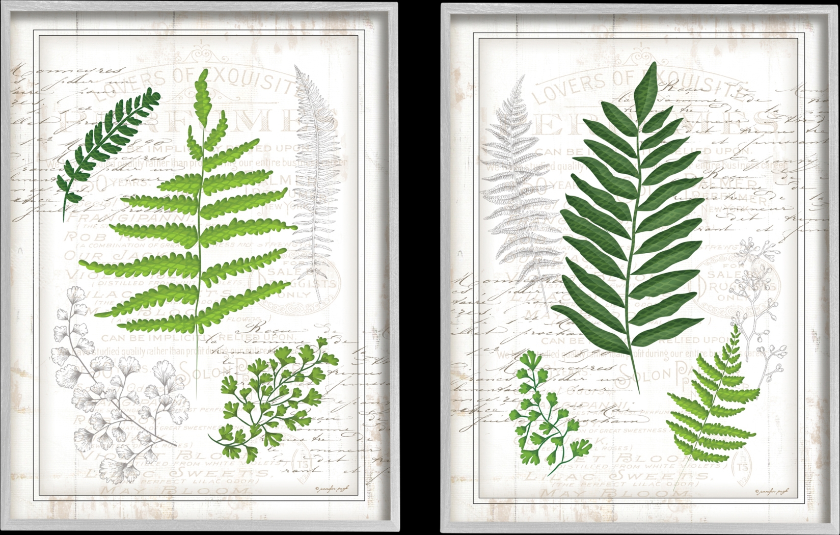 Delicate Ferns Set of 2 Artwork - Thumbnail - Image 1