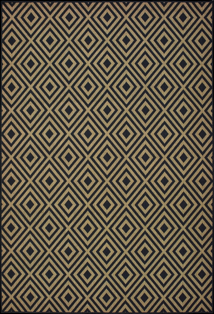 Delores Black 5'3 x 7'6 Indoor/Outdoor Rug - Thumbnail - Image 1