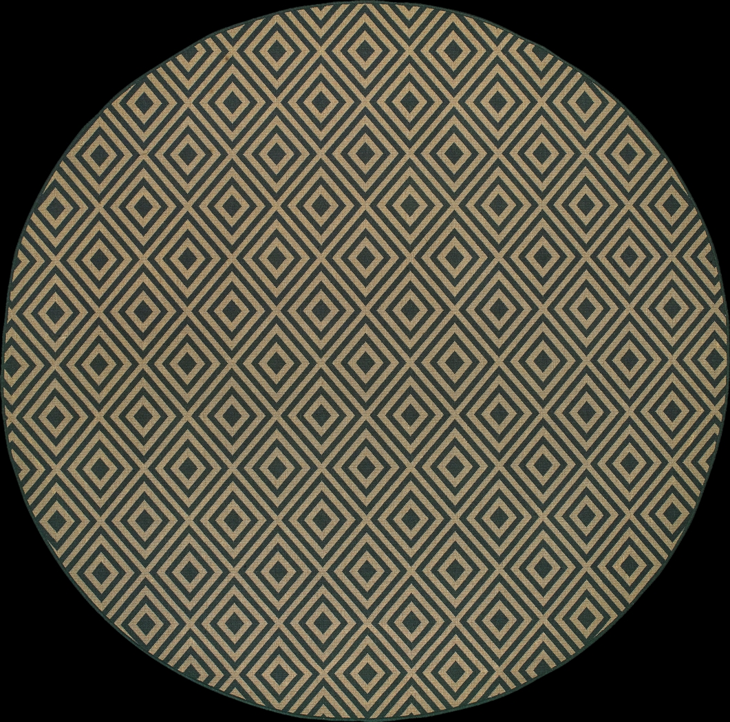 Delores Black 7'10 Round Indoor/Outdoor Rug - Thumbnail - Image 1