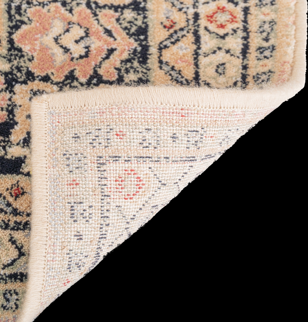 Delstead Multi 9'10 x 11' Rug - Thumbnail - Image 4