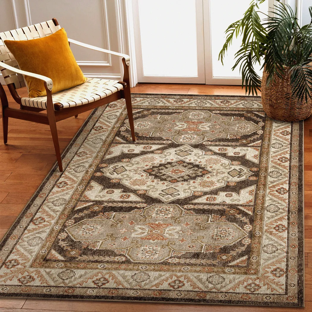 Devdan Terracotta 6'6 x 9'4 Rug - Thumbnail - Image 7