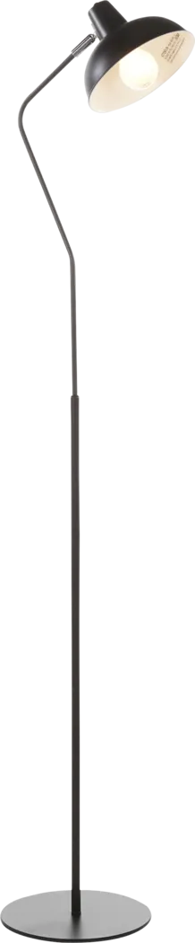 Dexter Drive Black Floor Lamp - Thumbnail - Image 1