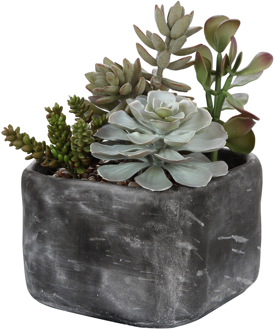 Dezlyn Gray Decorative Plant - Thumbnail - Image 2