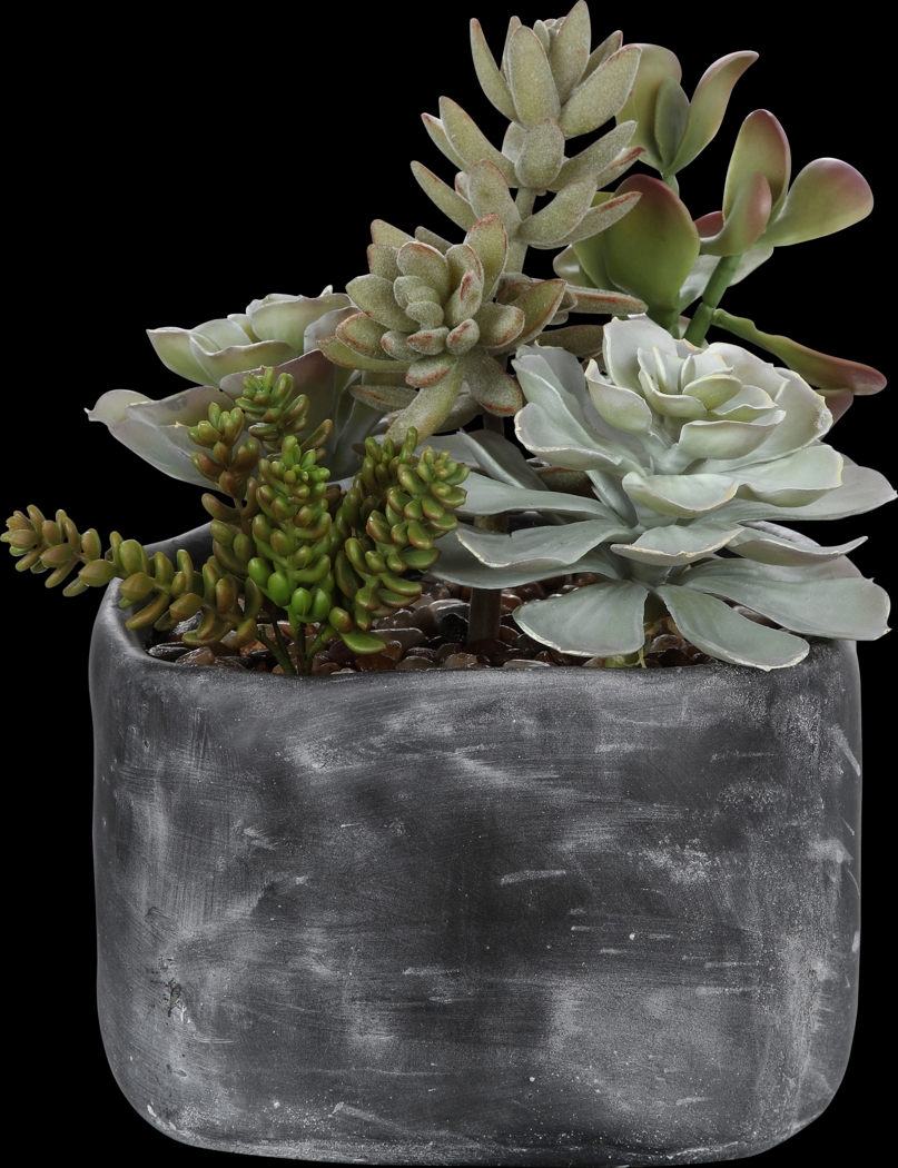 Dezlyn Gray Decorative Plant - Thumbnail - Image 1