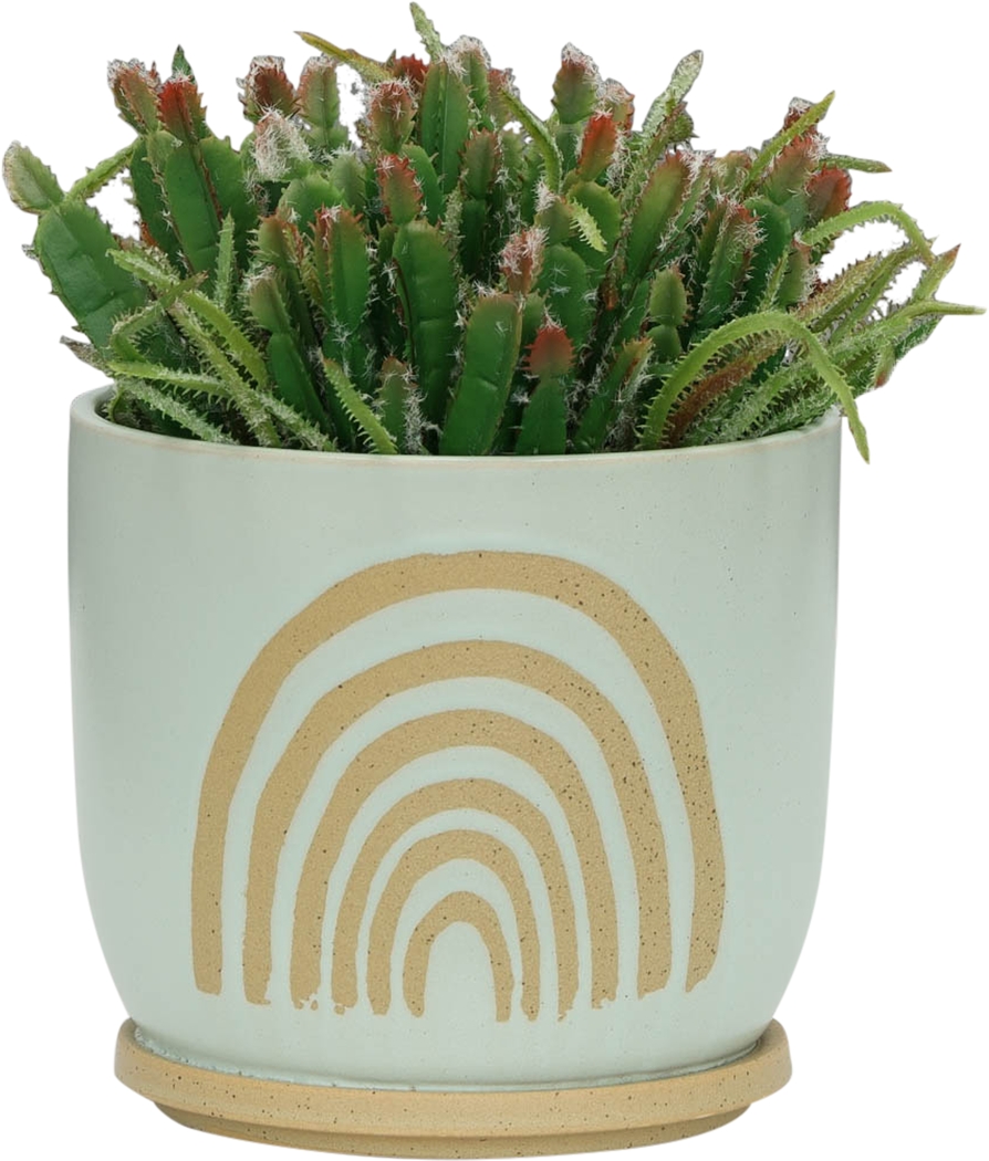 Dilwoth Green Planter - Thumbnail - Image 4