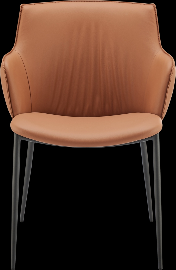 Dipaolo Cognac Arm Chair - Thumbnail - Image 2