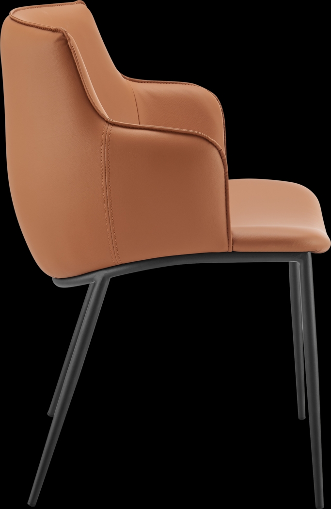 Dipaolo Cognac Arm Chair - Thumbnail - Image 3