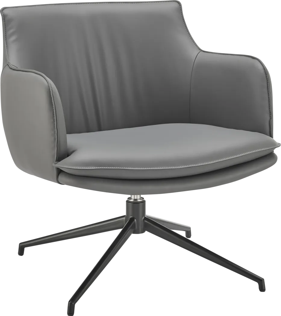 Dipaolo Gray Swivel Accent Chair - Thumbnail - Image 2