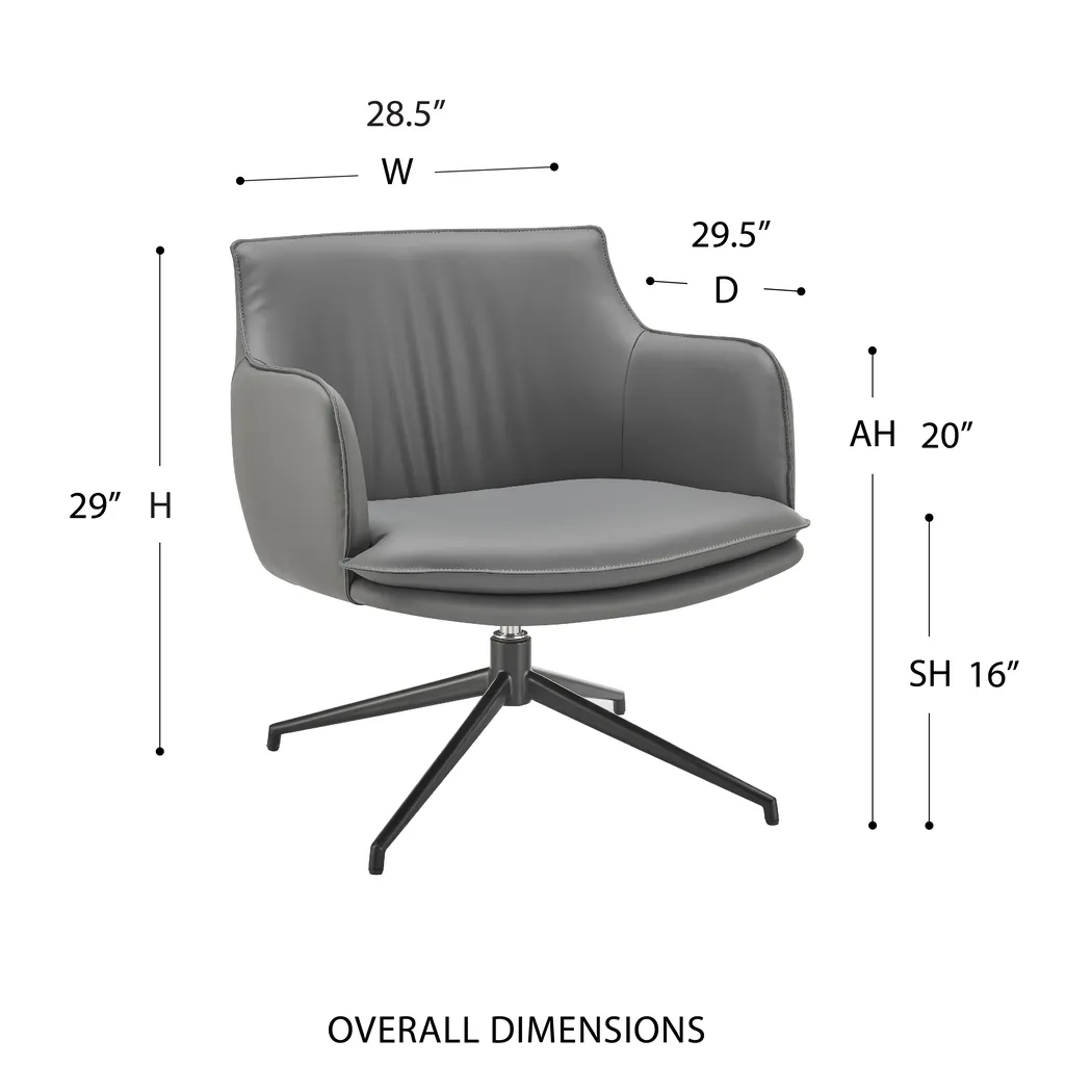 Dipaolo Gray Swivel Accent Chair - Thumbnail - Image 9