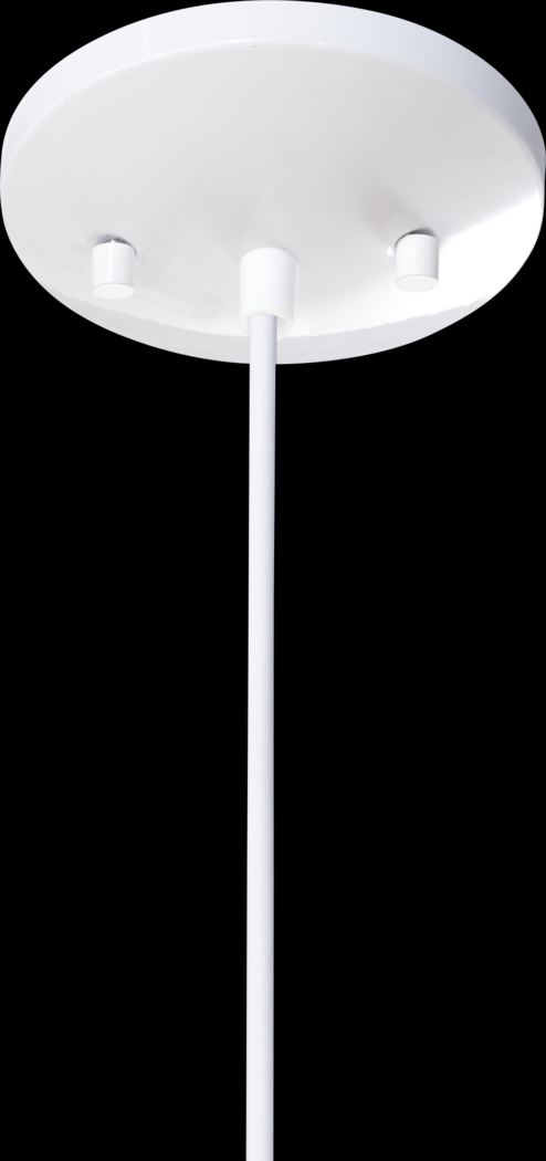 Distel Place Natural Pendant - Thumbnail - Image 8