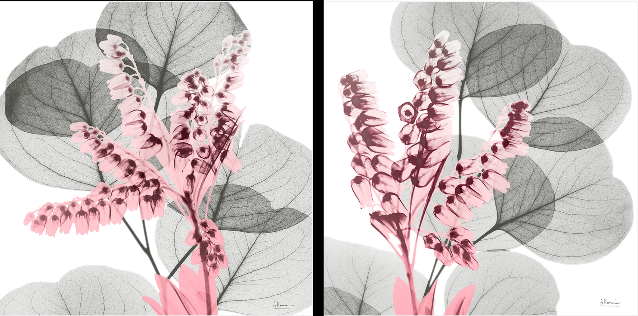 Dormilon Gray Artwork, Set of 2 - Thumbnail - Image 1