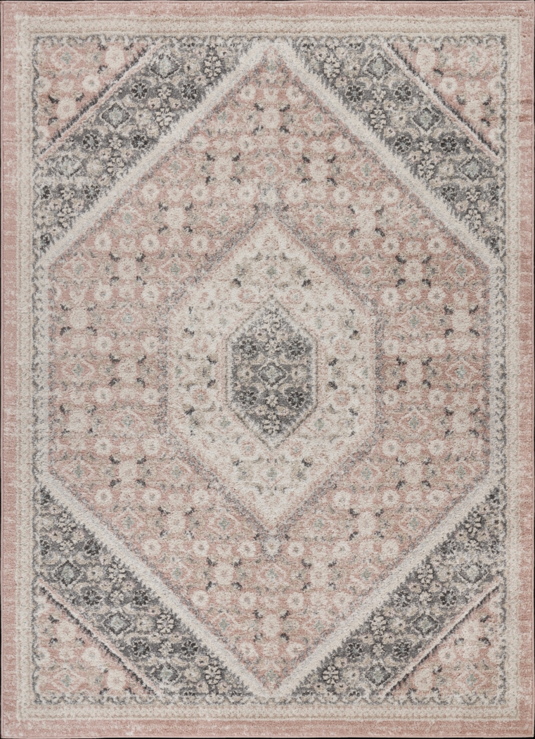 Drelana Blush 5'2 x 7'2 Rug - Thumbnail - Image 1
